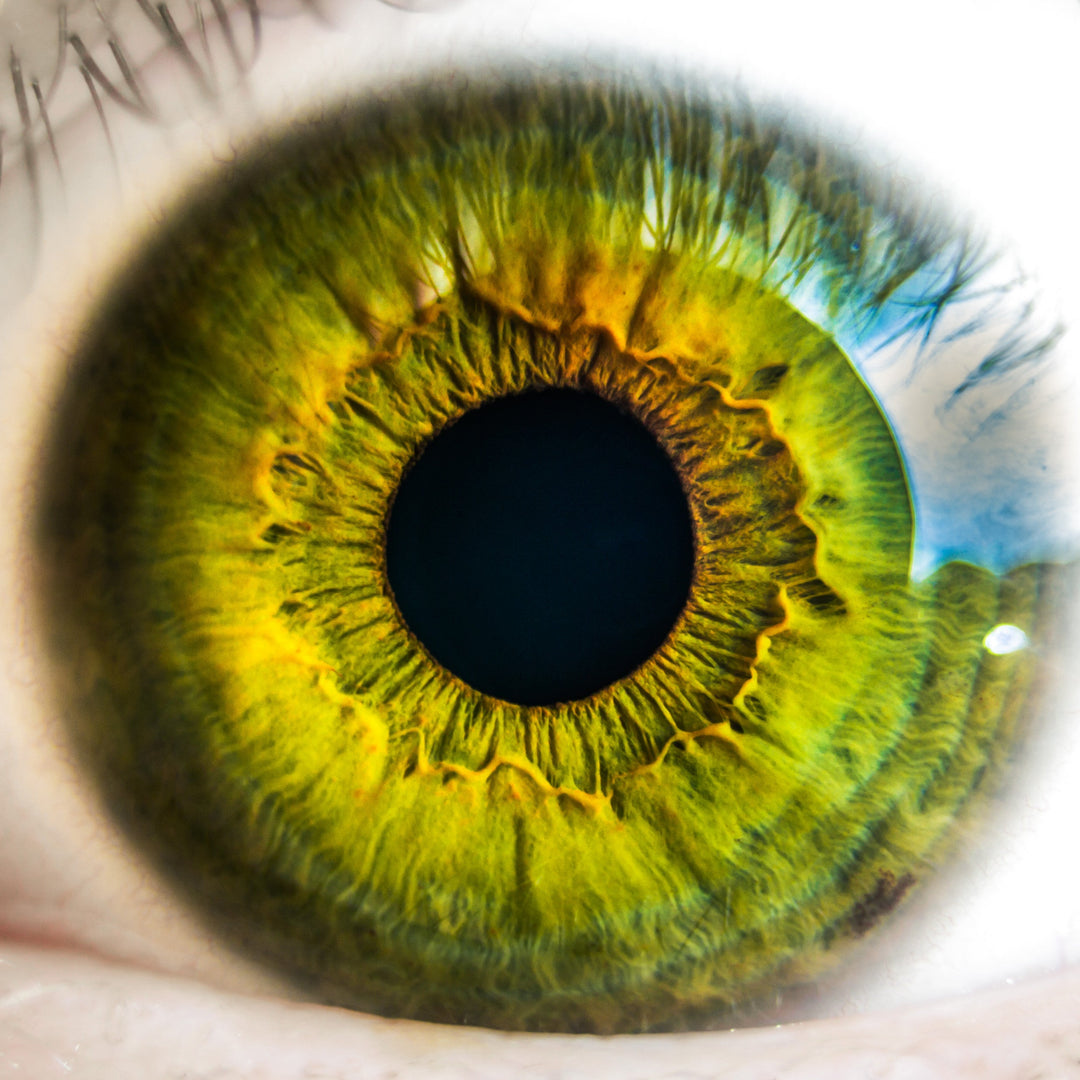 Lash Allergies & Allergic Reactions