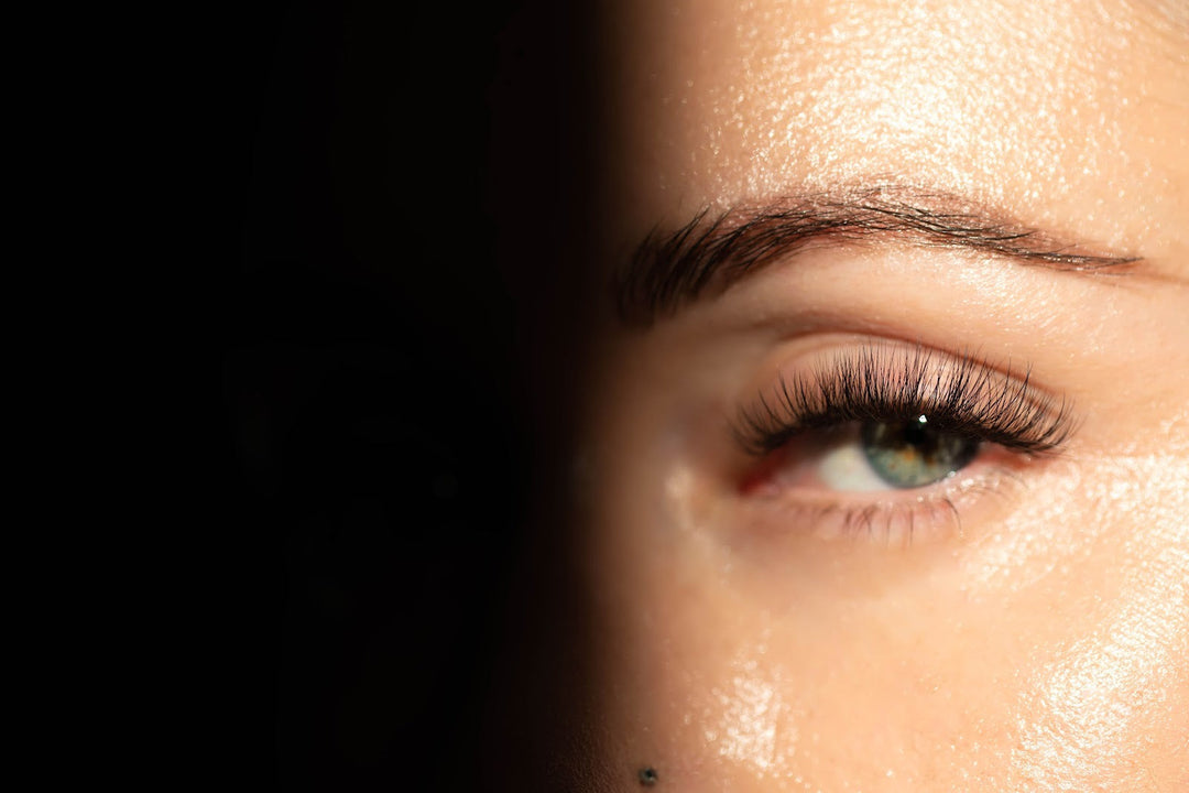 Lash tinting and eyebrow dyeing legality — Lash Affair