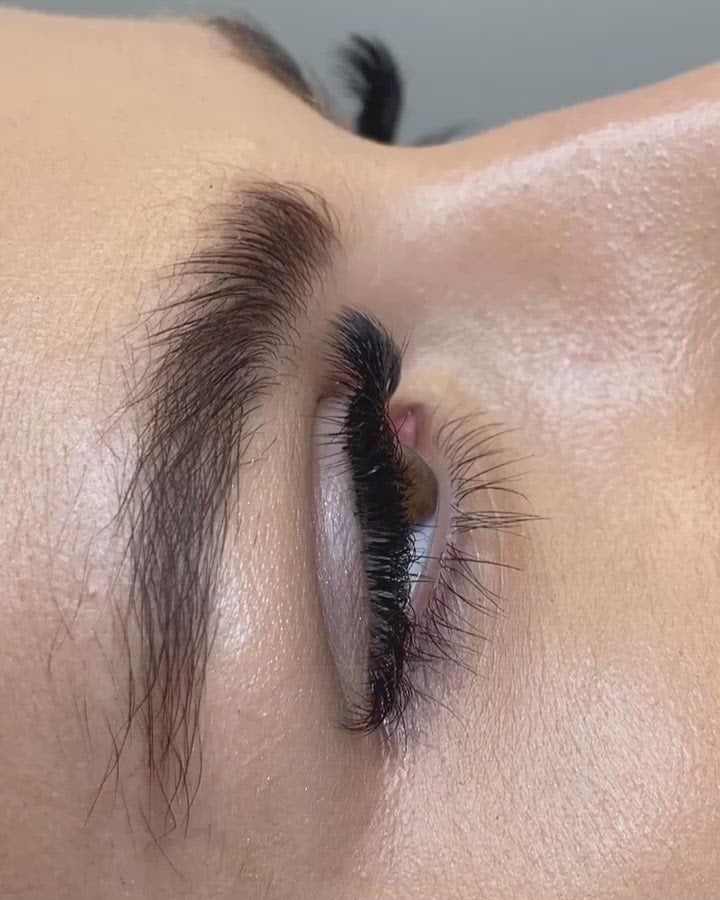 Dirty Little Secrets | Pre-Made Lash Extension Fans