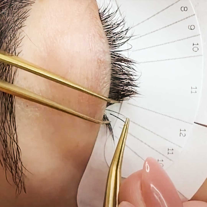 Lash Map Stickers