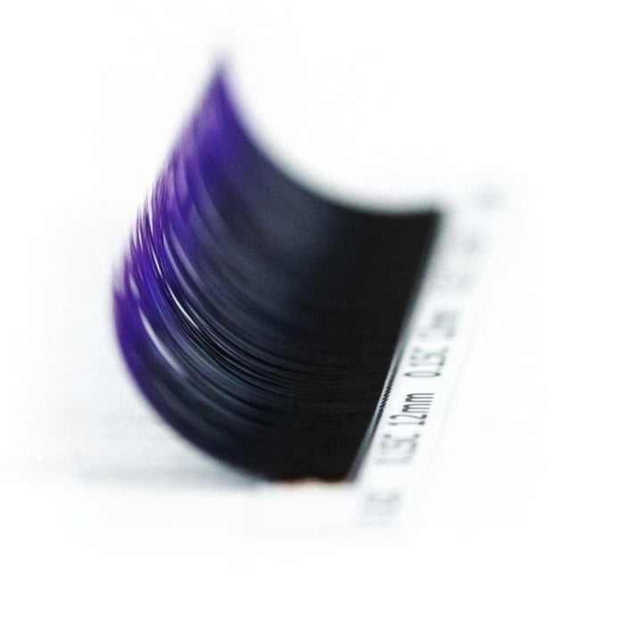Luxury Ombre Classic Lash Extensions