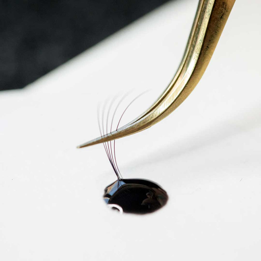 True Love | Quick-Dry Lash Extension Glue